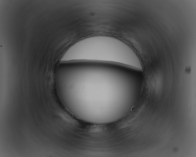 X0000101950077200807171143