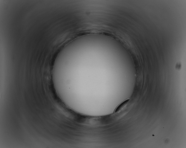 X0000101950078200807171143