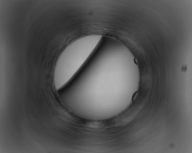 X0000101950079200807171143