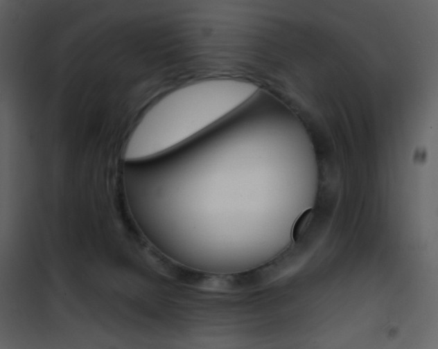 X0000101950080200807171143