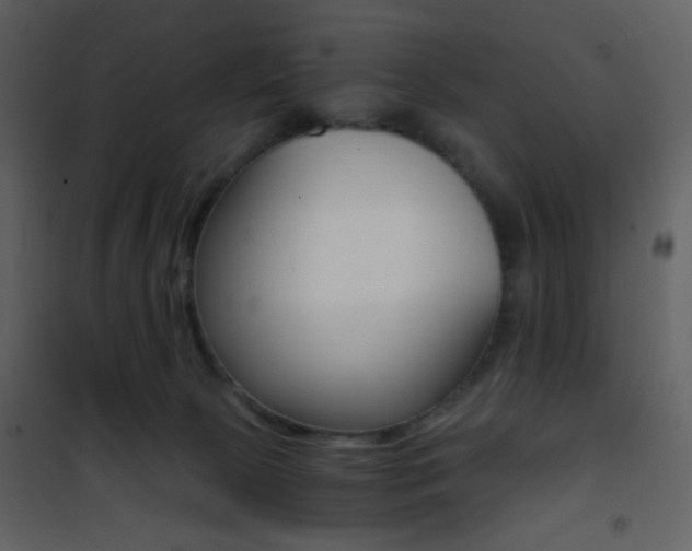 X0000101950081200807171143