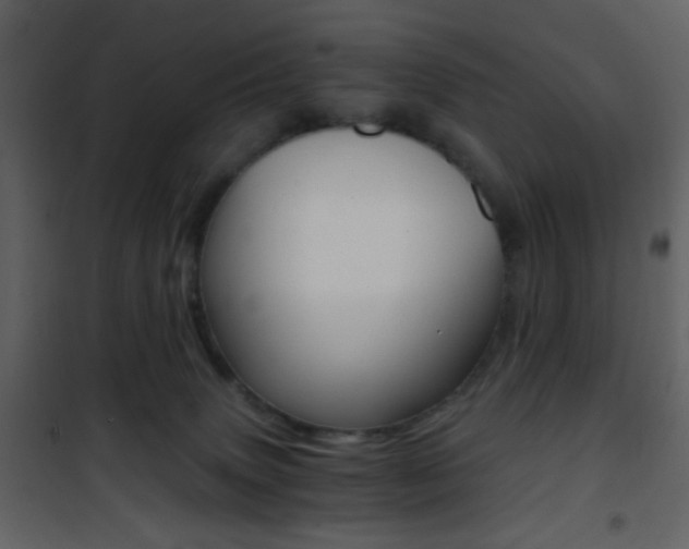 X0000101950083200807171143