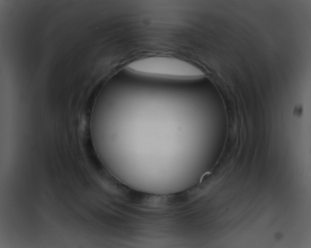 X0000101950084200807171144