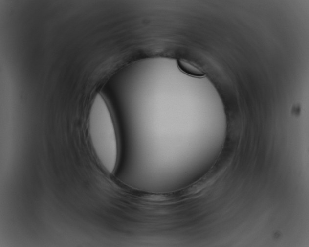 X0000101950085200807171144