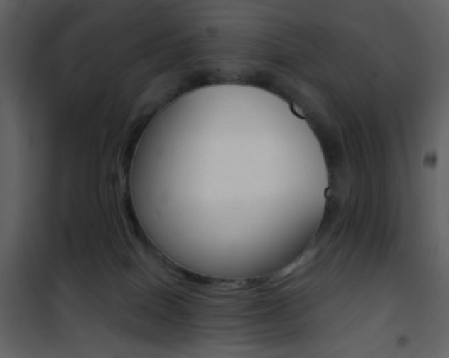 X0000101950086200807171144