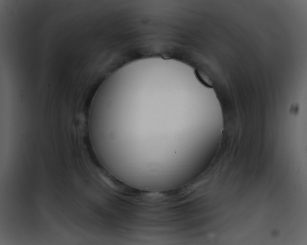 X0000101950087200807171144