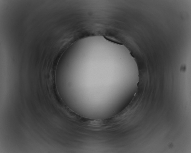 X0000101950088200807171144