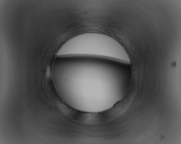 X0000101950089200807171144
