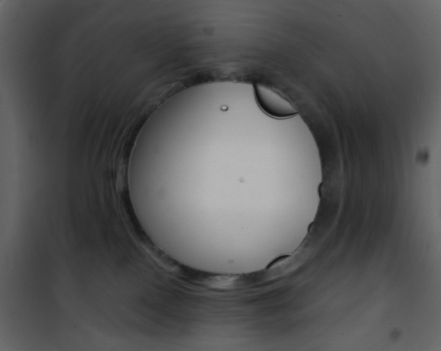 X0000101950090200807171144