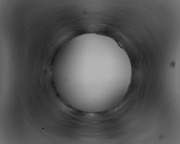 X0000101950091200807171144