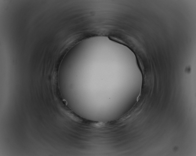 X0000101950092200807171144