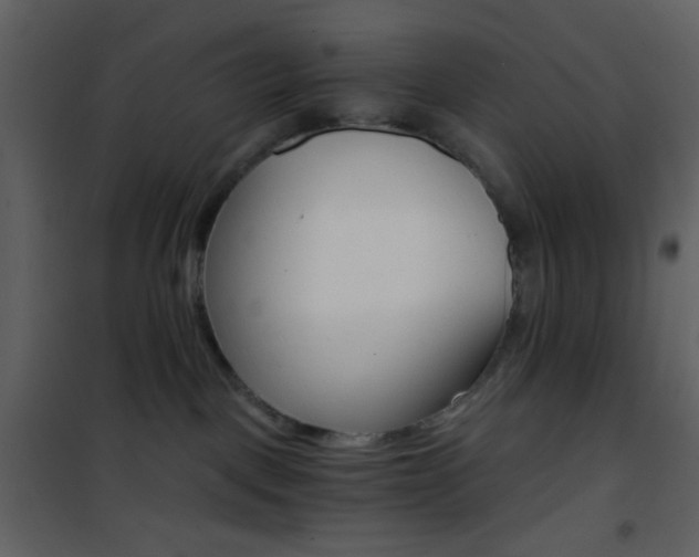 X0000101950093200807171144