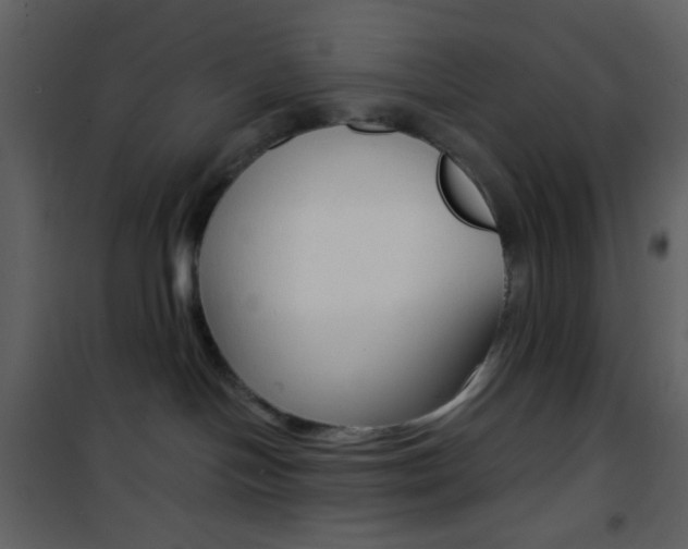 X0000101950094200807171144