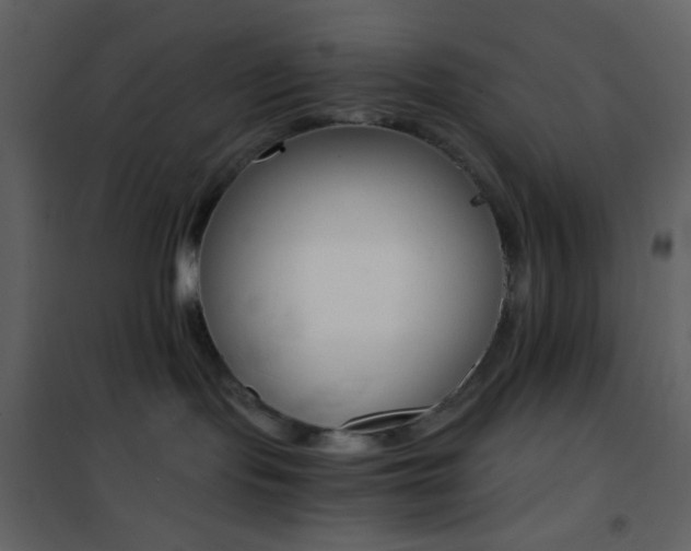X0000101950095200807171144