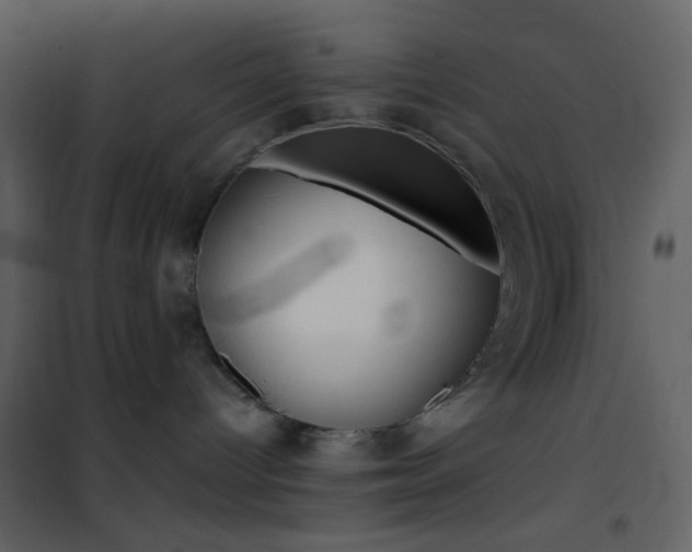 X0000101950096200807171144