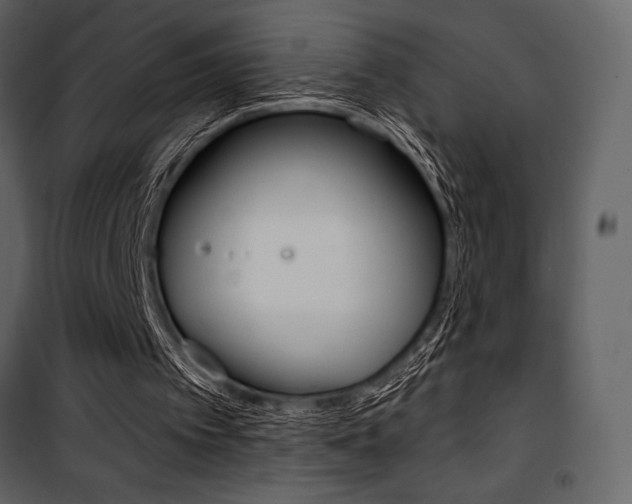 X0000101950097200807171143