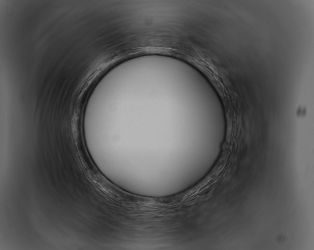 X0000101950098200807171143