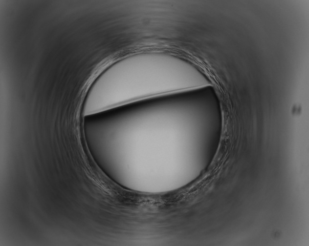 X0000101950099200807171143