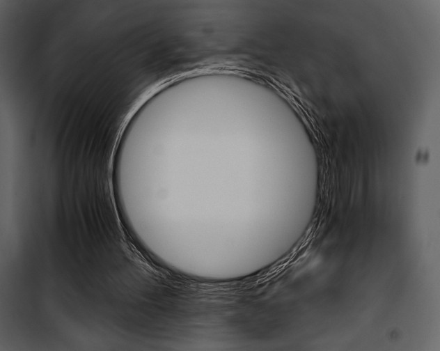 X0000101950100200807171143