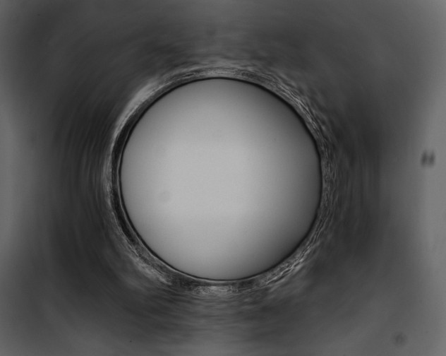 X0000101950102200807171143