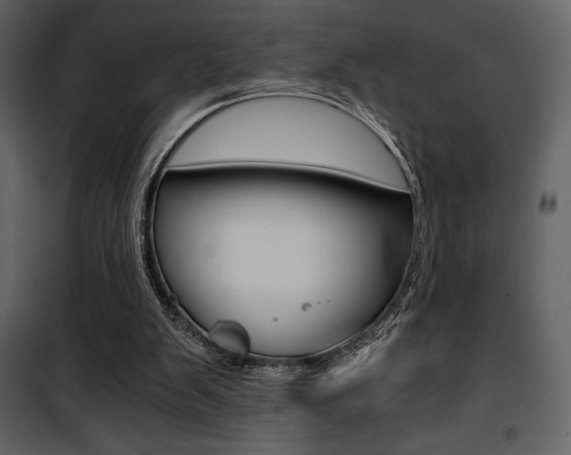 X0000101950103200807171143