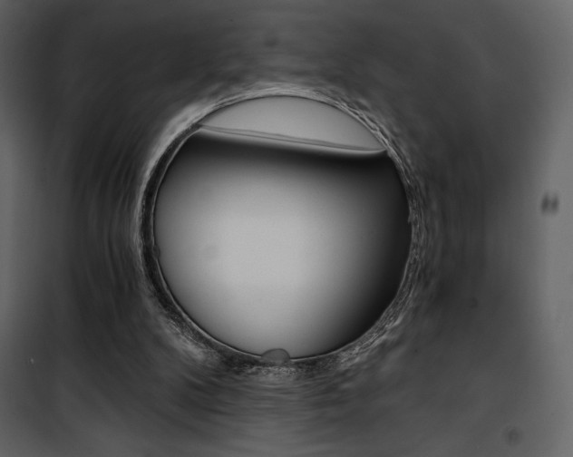 X0000101950104200807171143