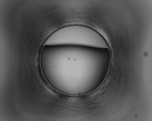X0000101950105200807171143