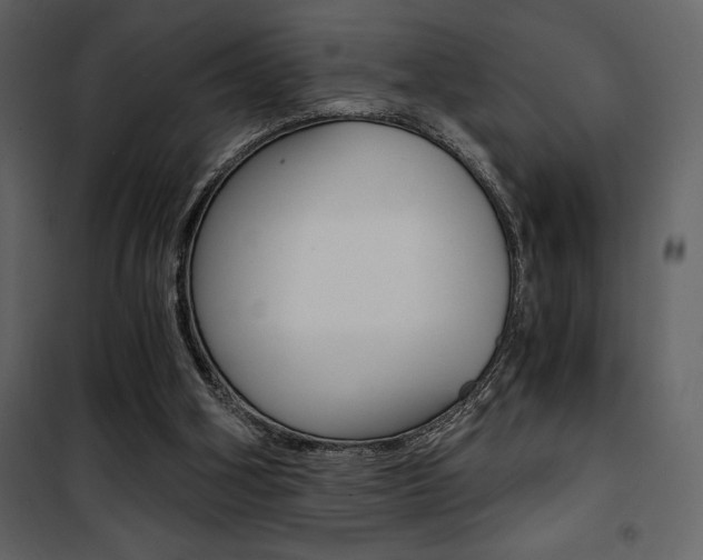 X0000101950106200807171143