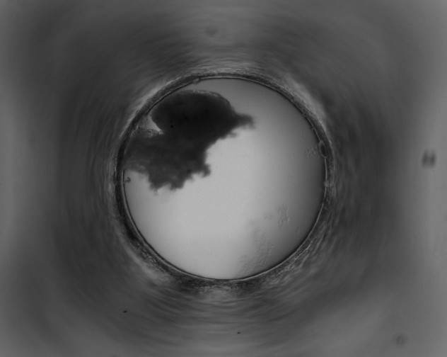 X0000101950107200807171143