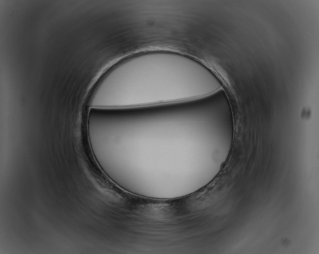 X0000101950108200807171143