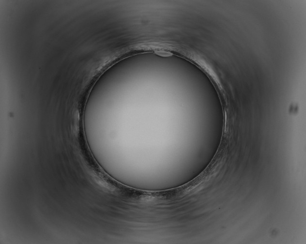 X0000101950109200807171143