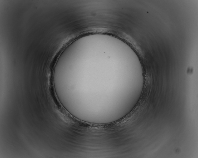 X0000101950110200807171143