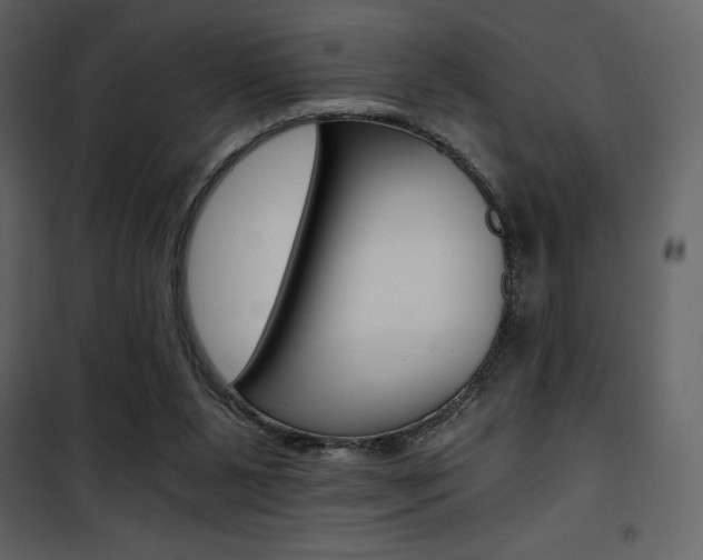 X0000101950111200807171143