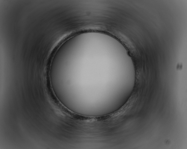 X0000101950112200807171143