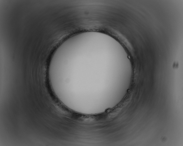 X0000101950113200807171143