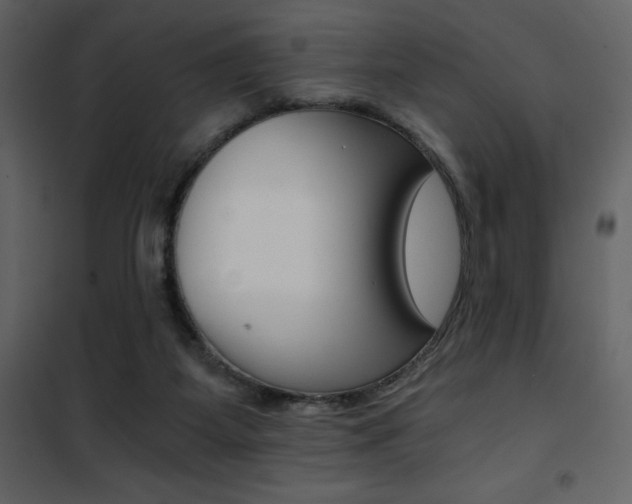 X0000101950115200807171142