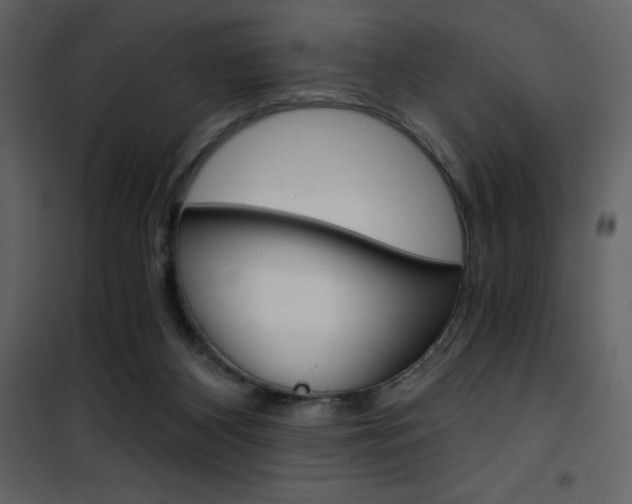 X0000101950116200807171142