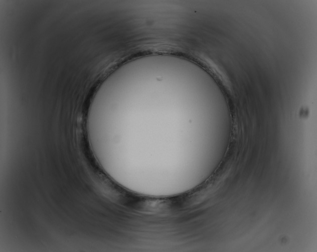 X0000101950117200807171142