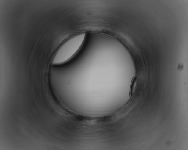 X0000101950120200807171142