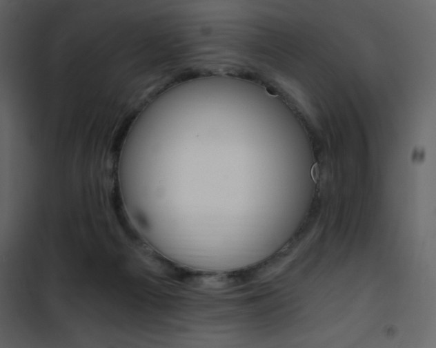 X0000101950121200807171142