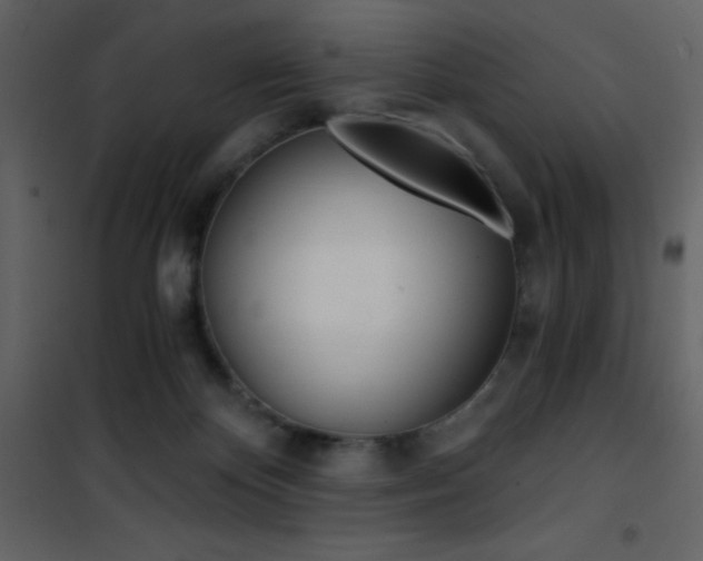 X0000101950124200807171142