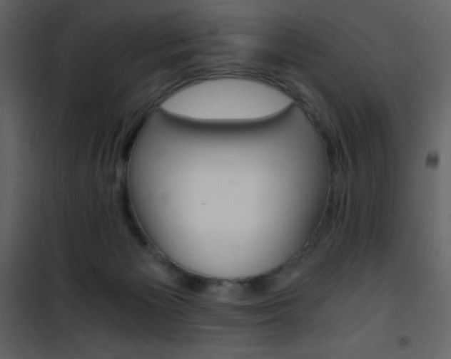 X0000101950125200807171142