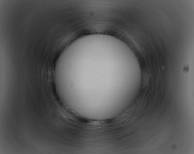 X0000101950126200807171142