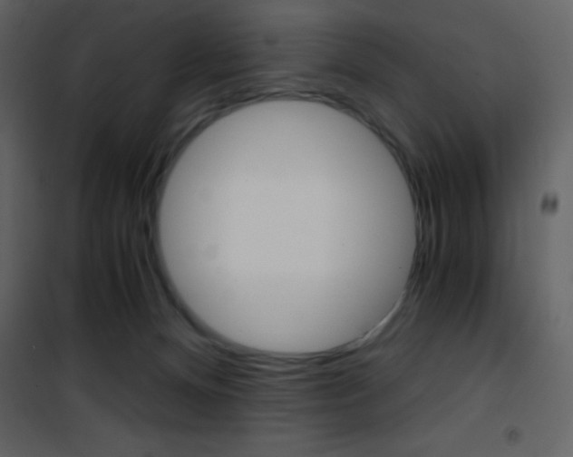 X0000101950128200807171142