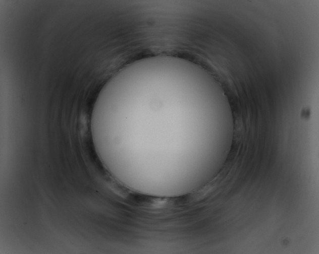 X0000101950130200807171142