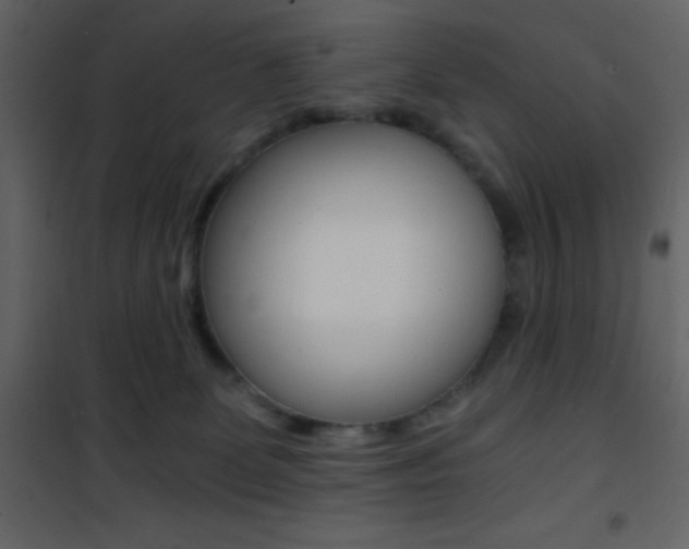 X0000101950131200807171142