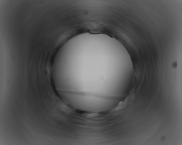 X0000101950132200807171142