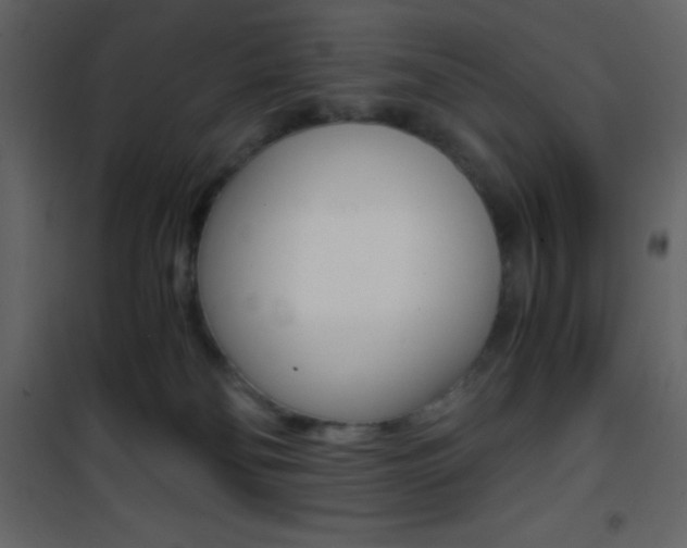 X0000101950134200807171142