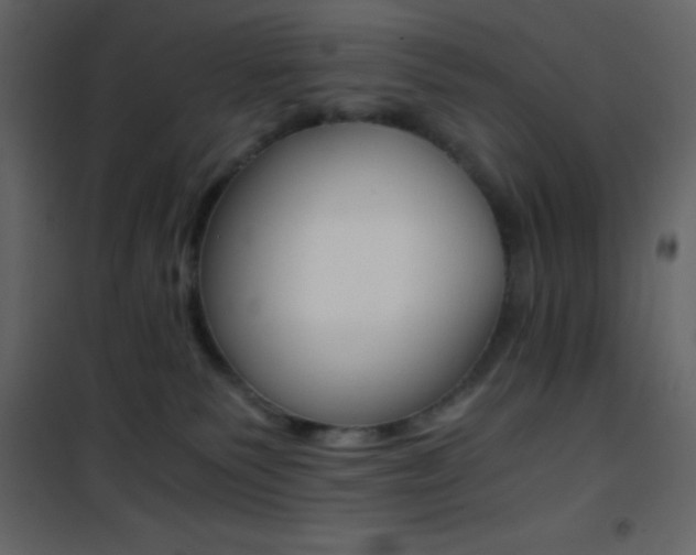 X0000101950135200807171142
