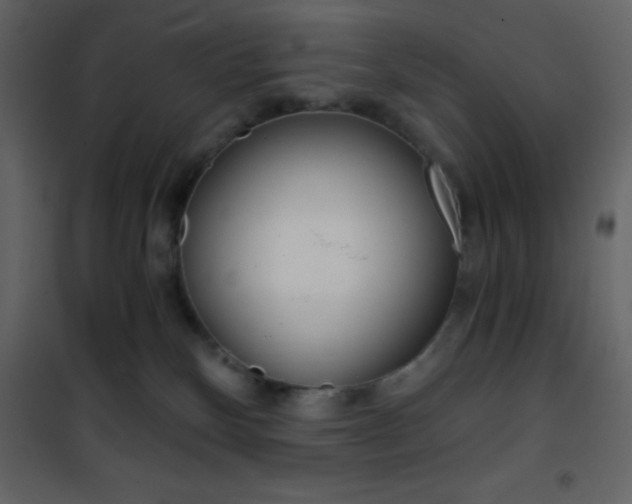 X0000101950136200807171142